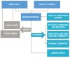 Organizational Structure